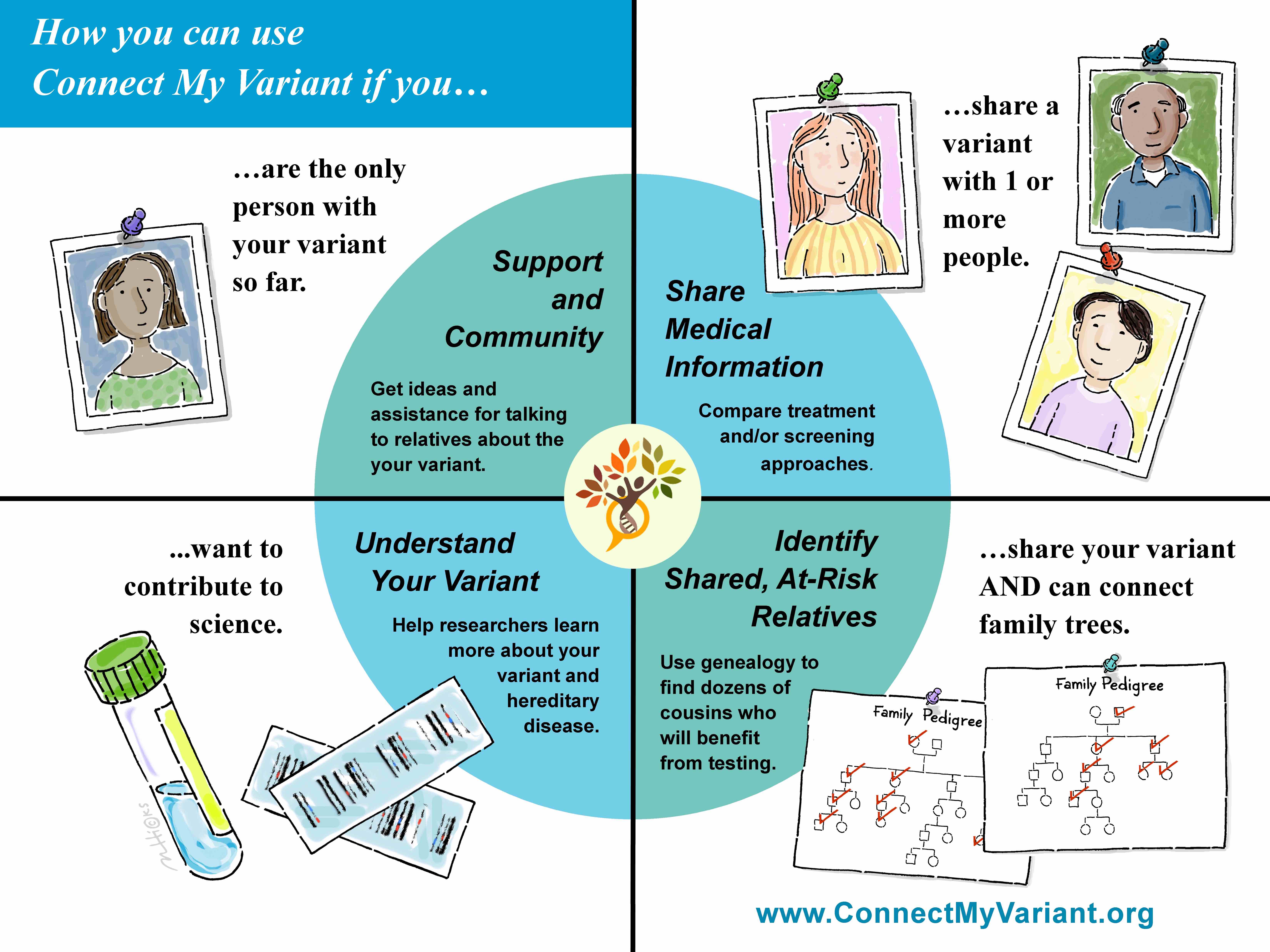 How ConnectMyVariant Helps small