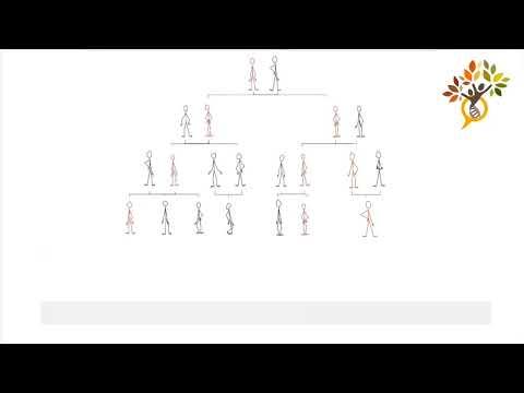 This is the image for As You Find More People with Your Variant, ConnectMyVariant Can Offer More video