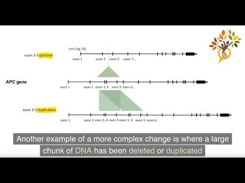 This is the image for Understanding Genetic Variants video